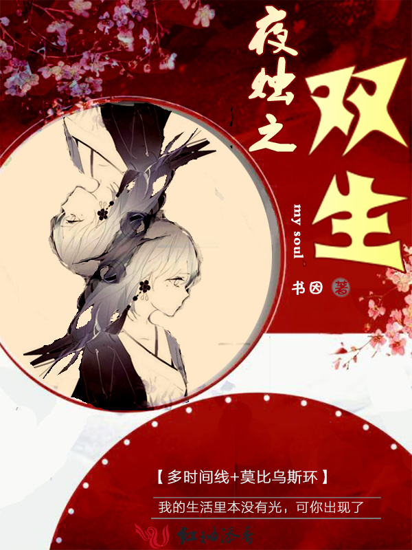 夜烛之双生小说封面