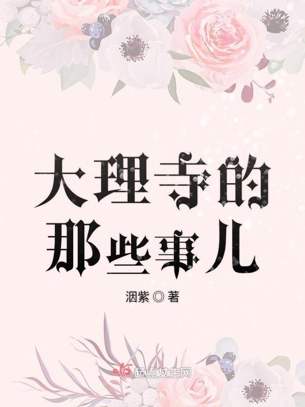 大理寺的那些事儿小说封面