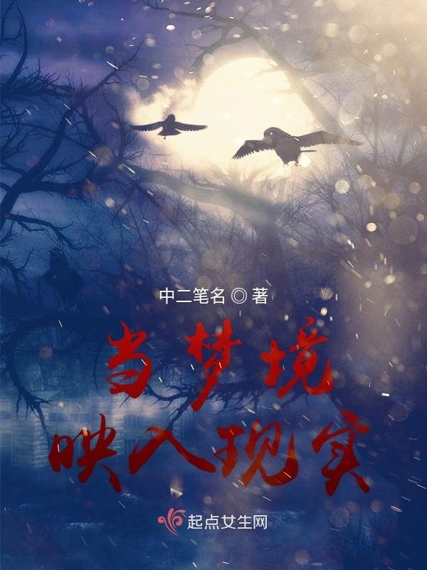 当梦境映入现实小说封面