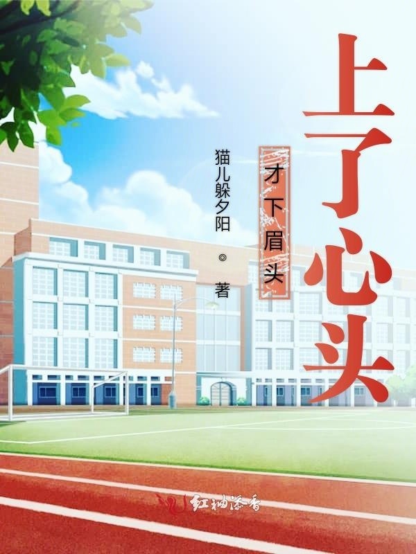 才下眉头上了心头小说封面
