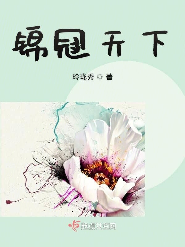 锦冠天下小说封面