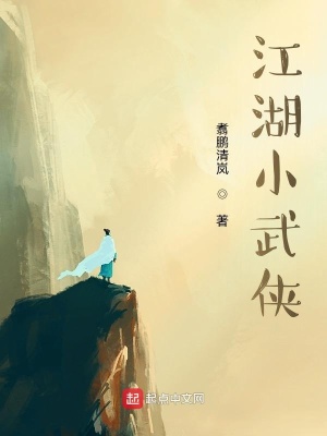 《江湖小武侠》封面