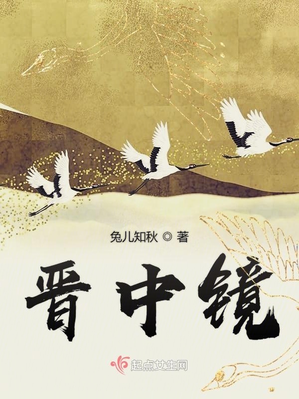 晋中镜小说封面