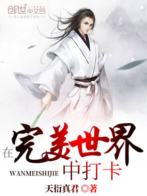 《在完美世界中打卡》封面