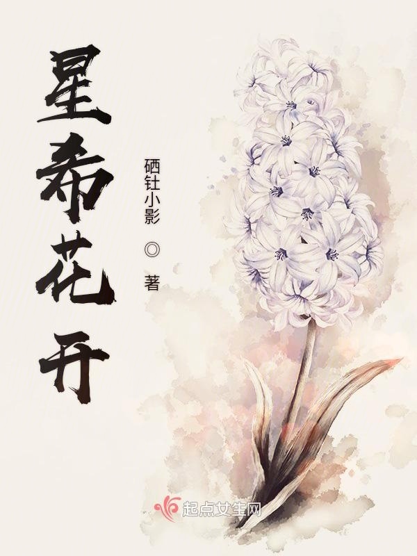 星希花开小说封面