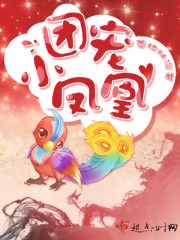 《团宠小凤凰》全文在线阅读_最新章节无删减_完结免费无弹窗 - 红袖读书