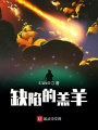 缺陷的羔羊