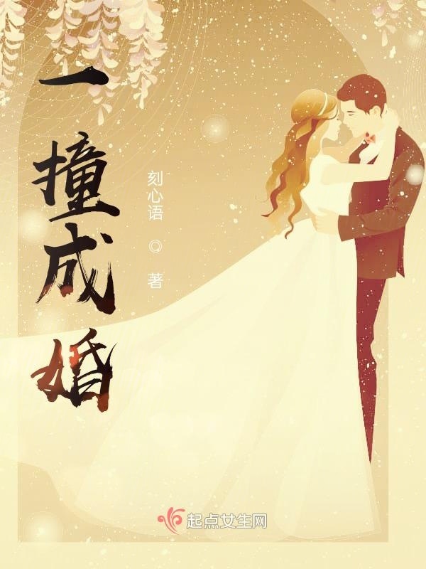 一撞成婚小说封面