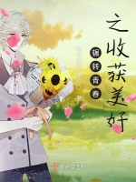 辗转青春之收获美好