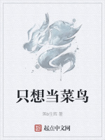 只想当菜鸟