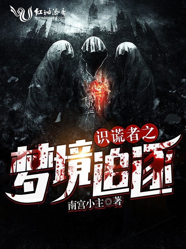 识谎者之梦境追逐小说封面