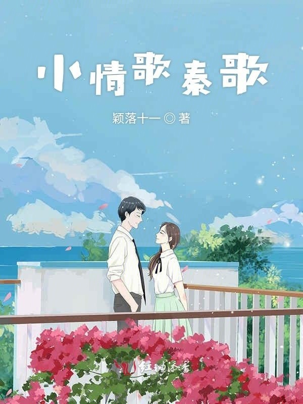 小情歌秦歌小说封面