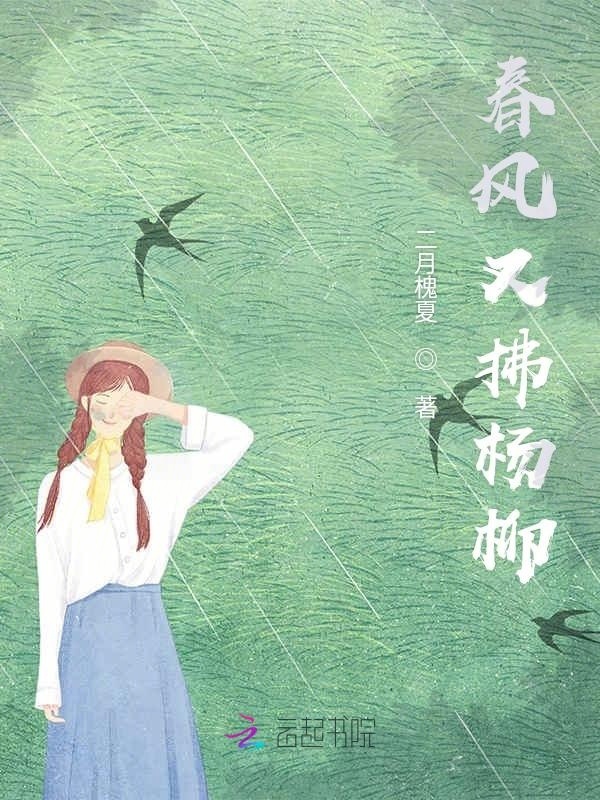 春风又拂杨柳小说封面