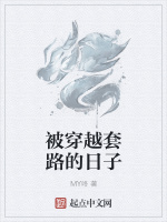 被穿越套路的日子