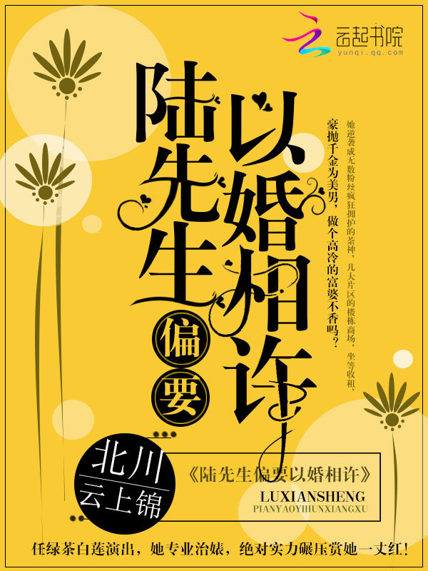 陆先生偏要以婚相许小说封面