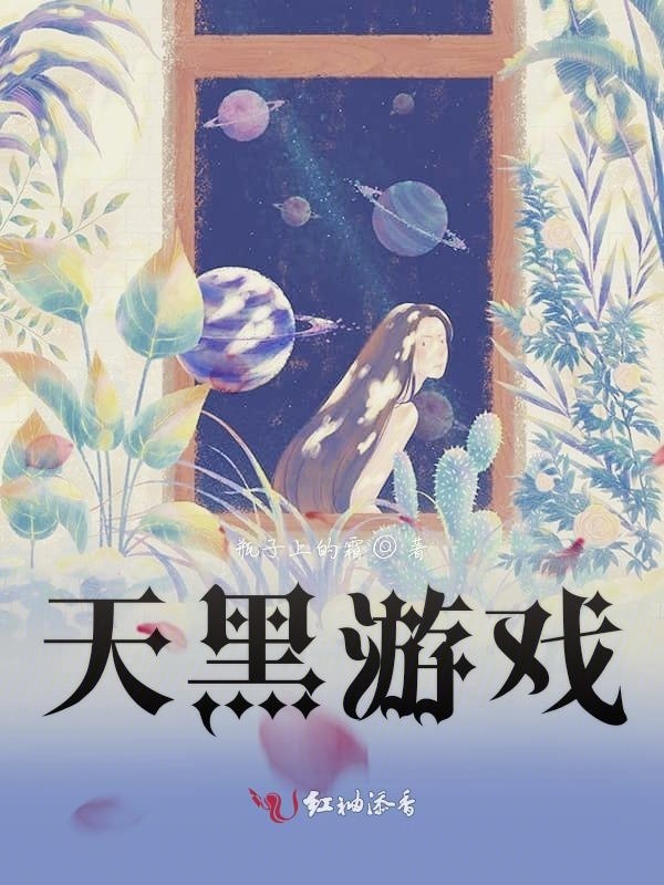 天黑游戏小说封面