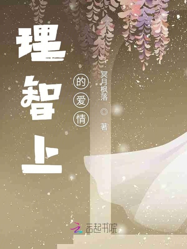 理智上的爱情小说封面