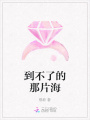 到不了的那片海