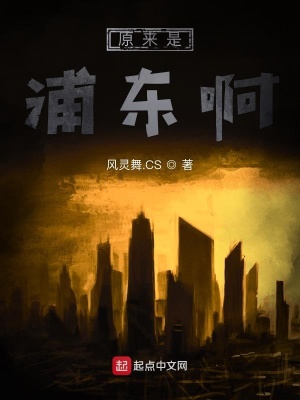 《原来是浦东啊》封面
