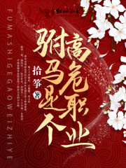 《驸马是个高危职业》封面