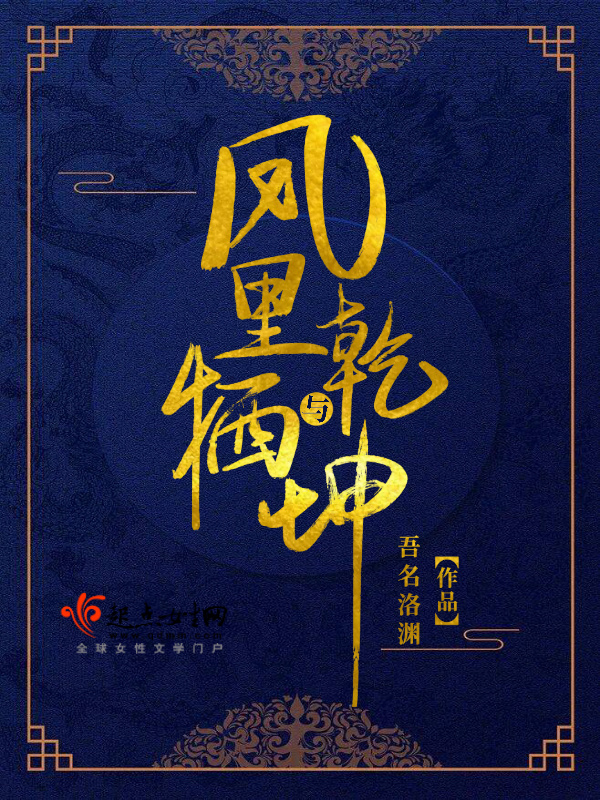 凤里牺与乾坤小说封面