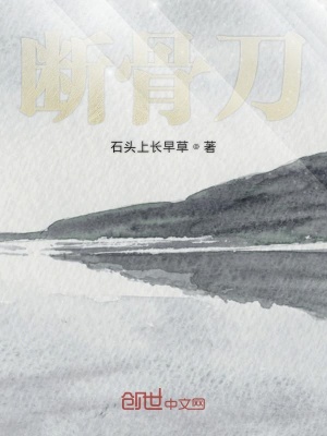 《断骨刀》封面