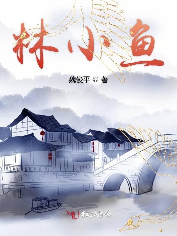 林小鱼小说封面