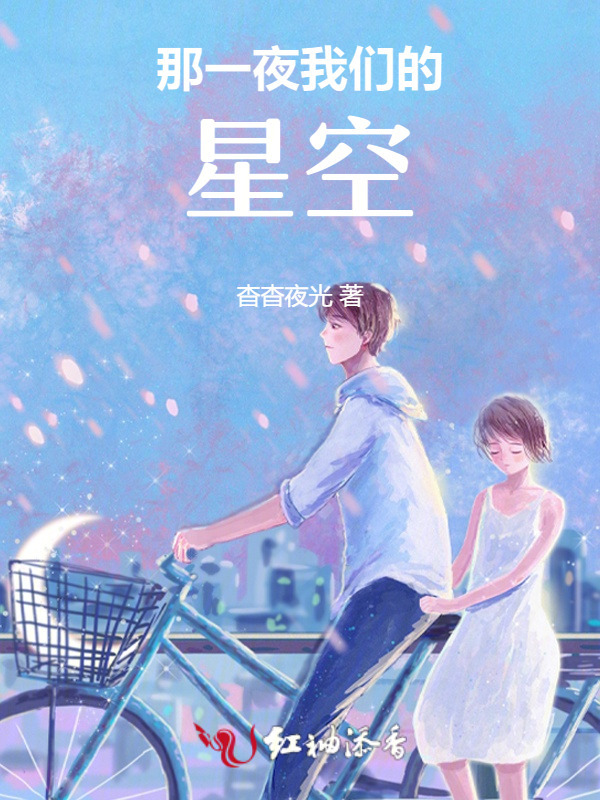 那一夜我们的星空小说封面
