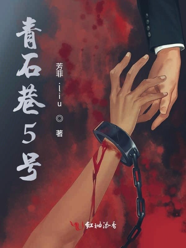 青石巷5号小说封面