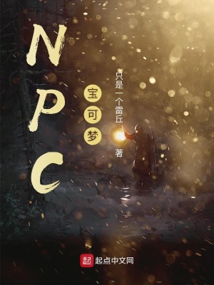 NPC宝可梦