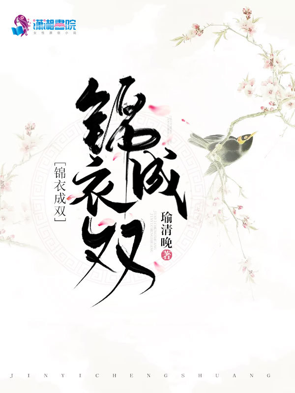 锦衣成双小说封面