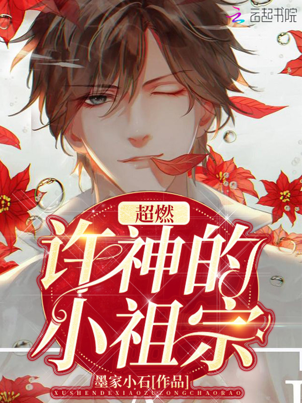 许神的小祖宗超燃小说封面