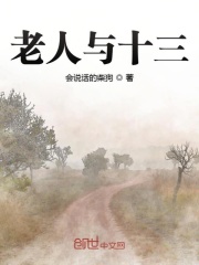 《老人与十三》封面