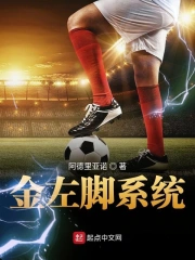 Kim Tả Cước Hệ Thống