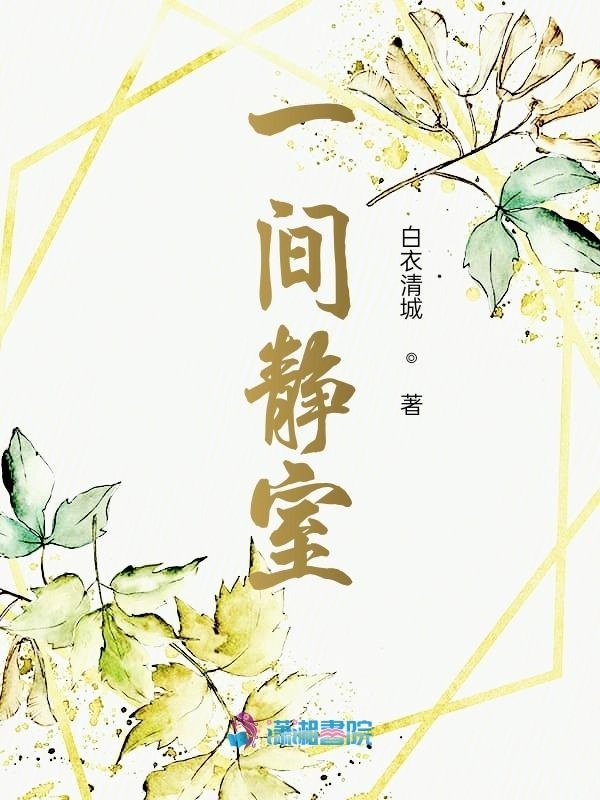 一间静室小说封面