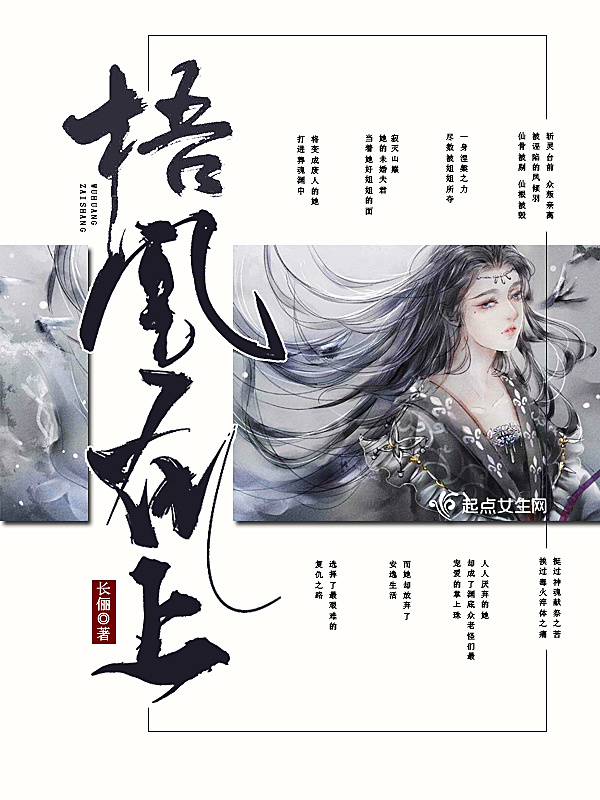 梧凰在上小说封面