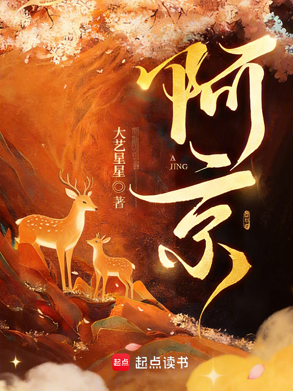 阿京小说封面