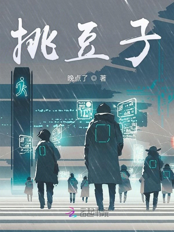 挑豆子小说封面