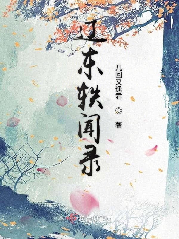 辽东轶闻录小说封面