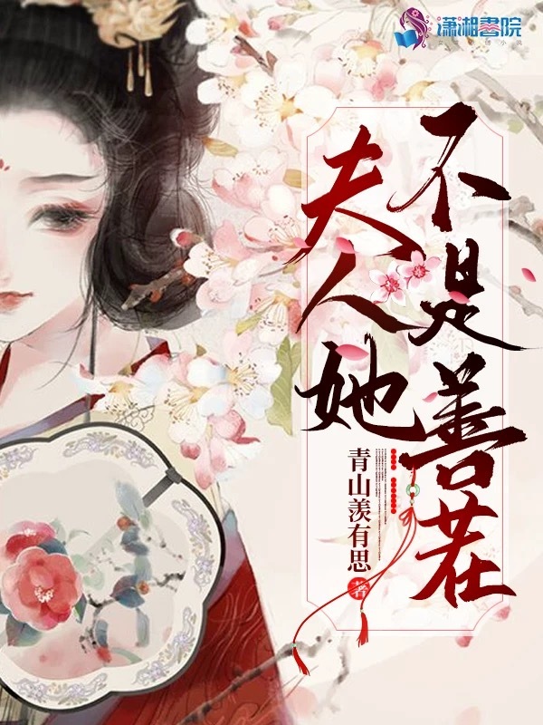 夫人她不是善茬小说封面