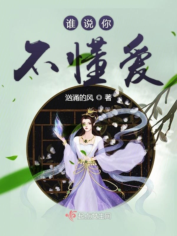 谁说你不懂爱小说封面