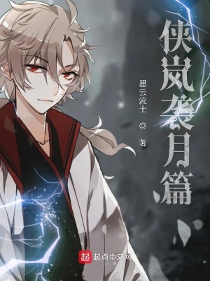 《侠岚袭月篇》封面