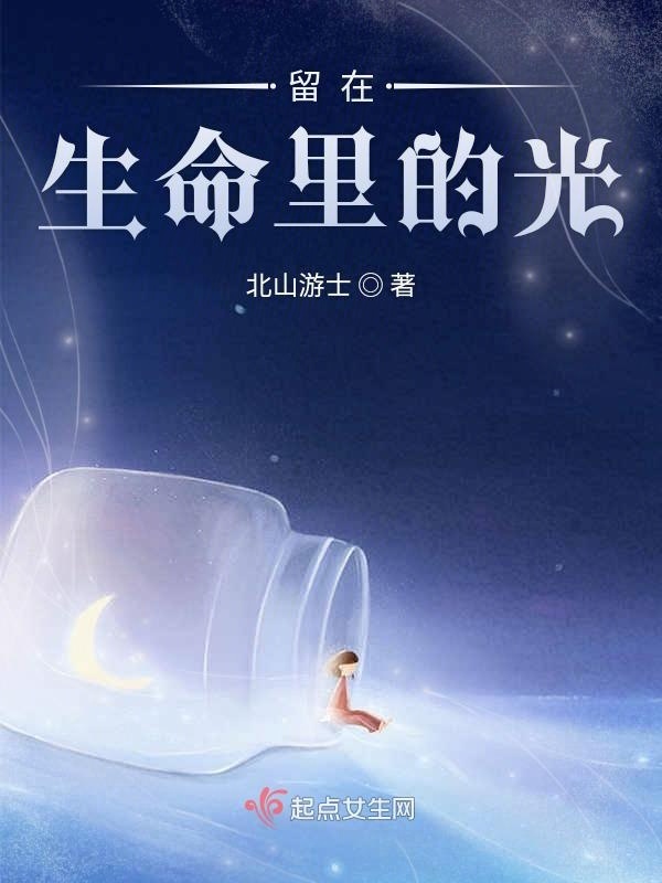 留在生命里的光小说封面