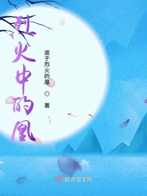 《烈火中的凰》封面