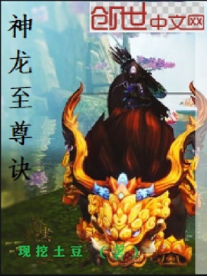 《神龙至尊诀》封面