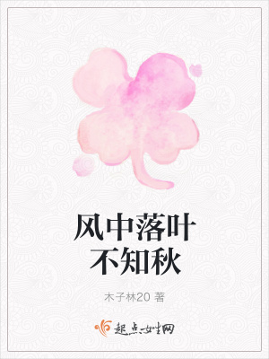 《风中落叶不知秋》封面