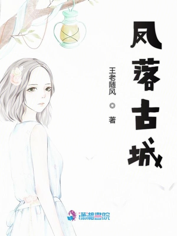 凤落古城小说封面