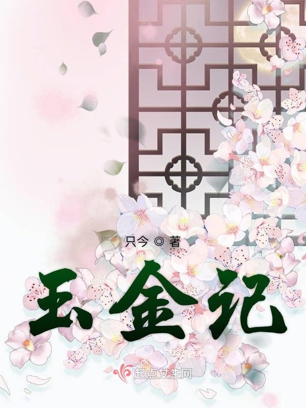 玉金记小说封面