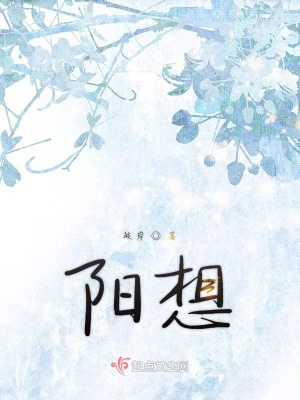 《阳想》封面