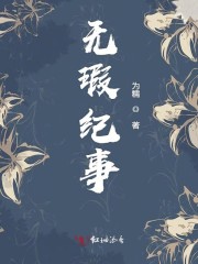 无瑕纪事